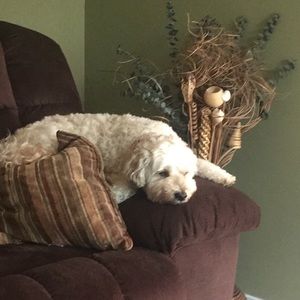 Meet your Posher, Tracy